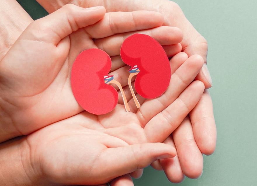 寶~腎好，才甚好！