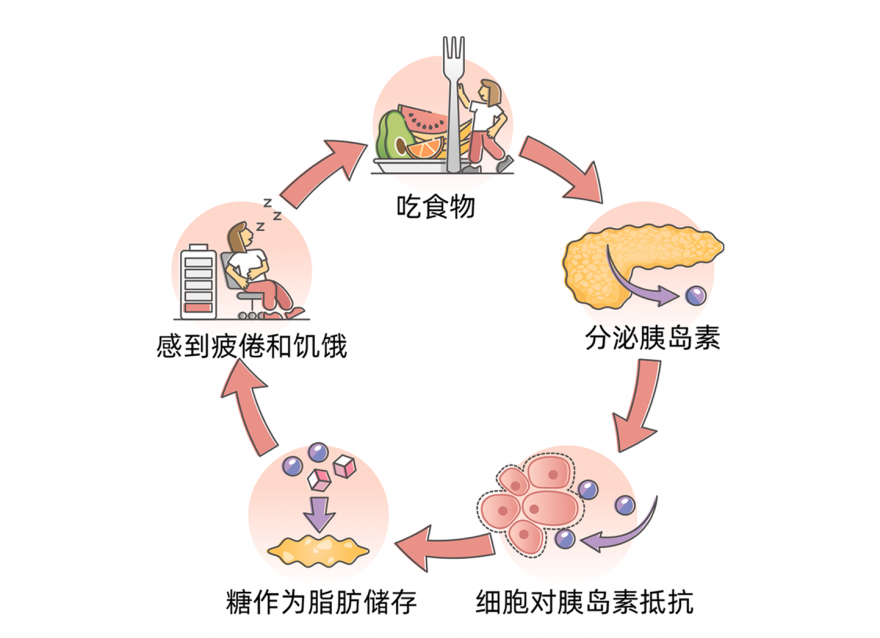 什么是血糖？附空腹/餐后/糖化控制目標